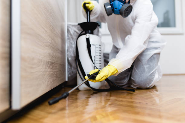 Best Pest Control Near Me  in Corte Madera, CA