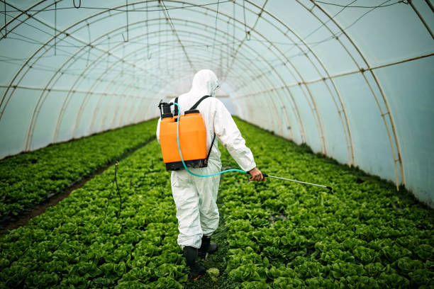 Best Pest Prevention Services  in Corte Madera, CA