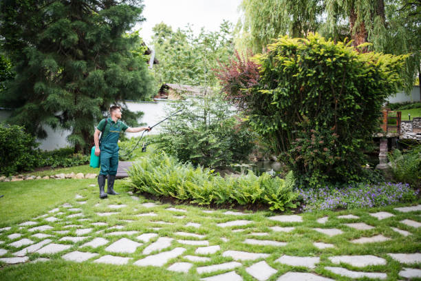 Best Affordable Pest Control Services  in Corte Madera, CA