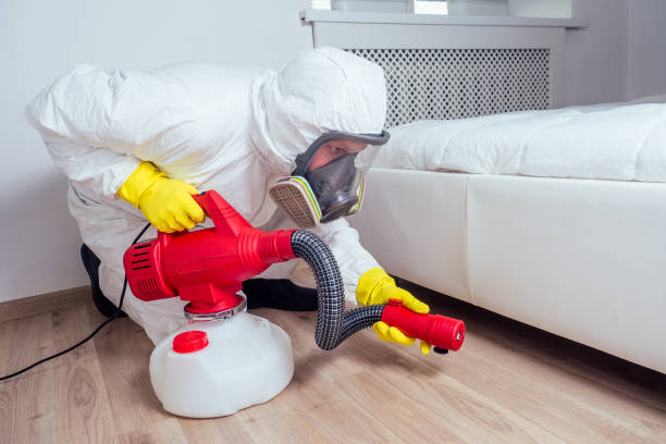 Trusted Corte Madera, CA Pest Control Experts