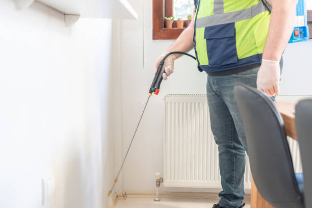 Best Pest Inspection Near Me  in Corte Madera, CA