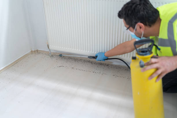 Flea Control Services in Corte Madera, CA