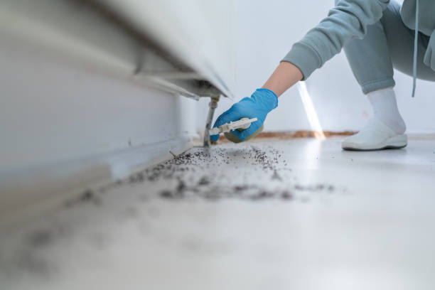 Best Exterminator Services  in Corte Madera, CA