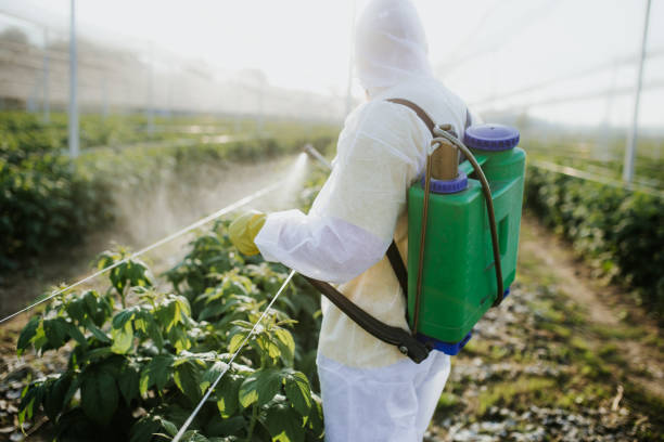 Best Pest Control Near Me in Corte Madera, CA